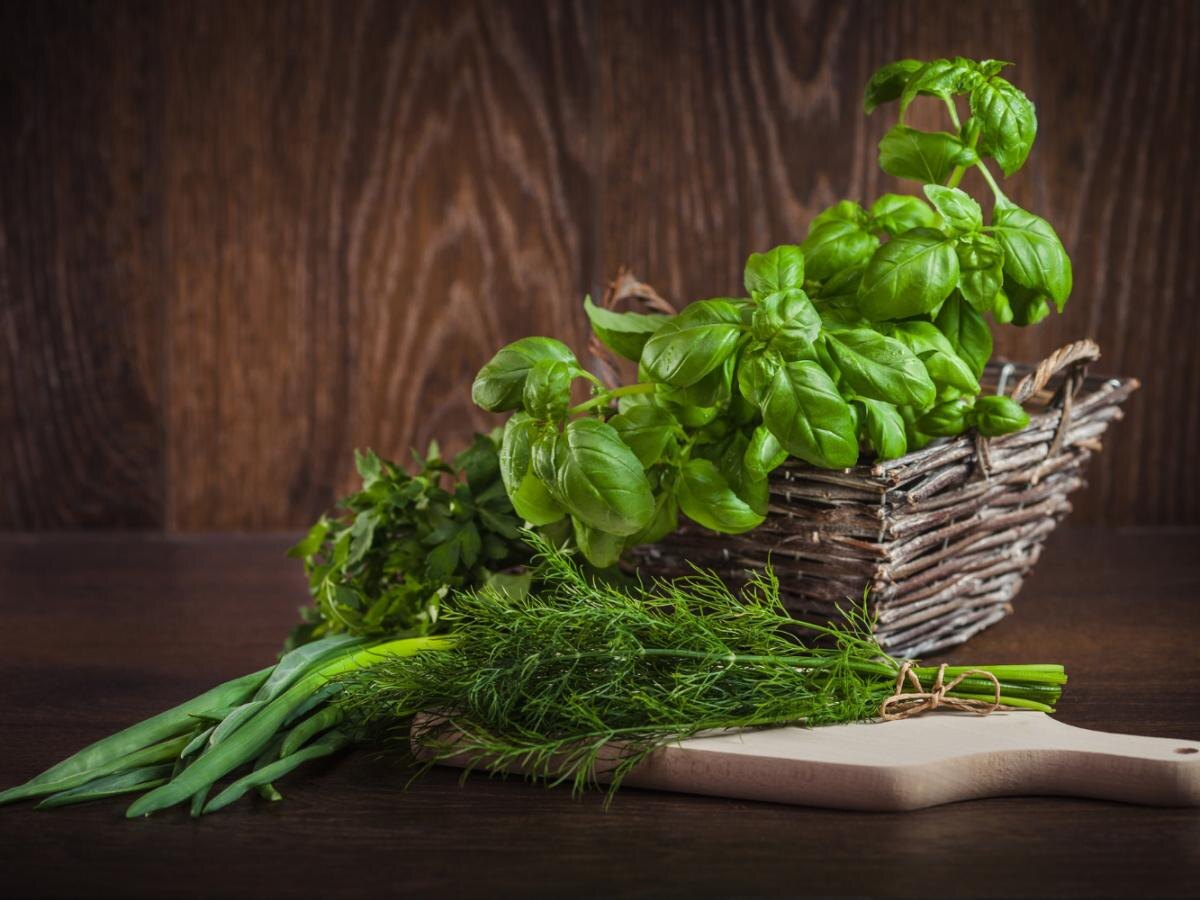 Когда земля только начинает оттаивать: ранние культуры для вашего огорода