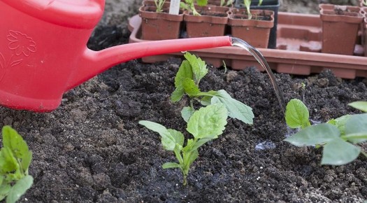 ��� �������� � �����: ������ �� ������ ����� � ��������