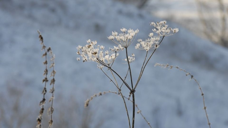 �� ������ ���������� ����������������, 2 ����� � ������� ����� �������, ����� � ������������