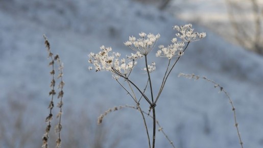 �� ������ ���������� ����������������, 2 ����� � ������� ����� �������, ����� � ������������