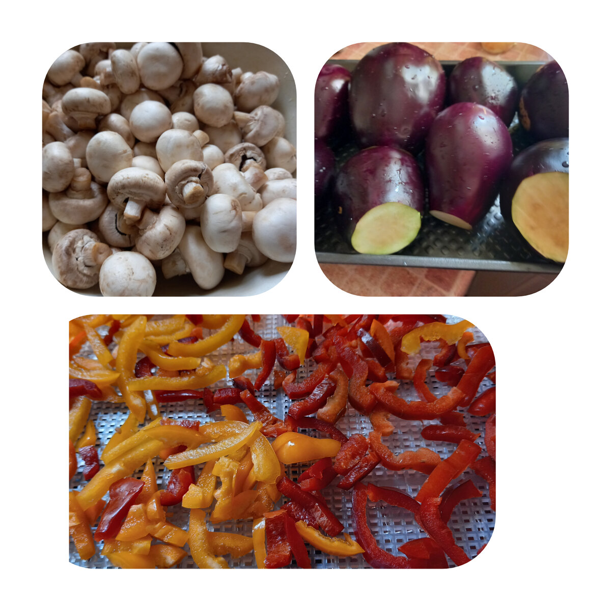 Как сохранить летний урожай: сушеные овощи для зимних блюд