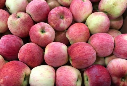 ����� �������� ������ ������: ��������� ��� ��������� ���� � ��� �������?