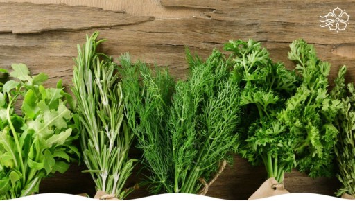 ��� ��������� ��������� ������ ����� �� �����������