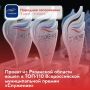 Проект Рязанской области вошел в топ-110 Всероссийской премии «Служение»