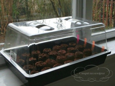 ��� � ��������� �������: ��������� ������� � ������