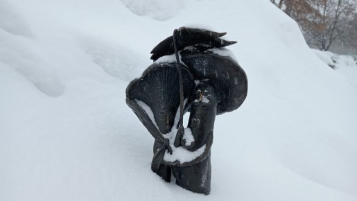 ����������! ������� ������ �� ����������� �� ���������� ���������� ����