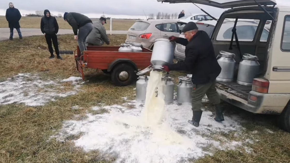 Молочные фермеры России сталкиваются с беспрецедентным излишком продукции