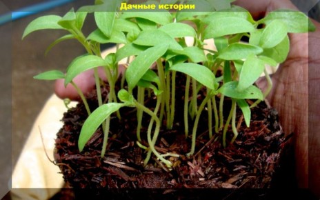 ��� ��������� ������� ������� ������ � ���������� ��� ���������