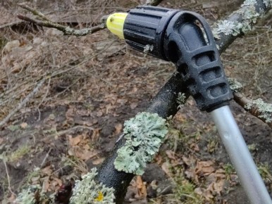 ��� �������� ������� �������� � ����: �������� ������� �������������