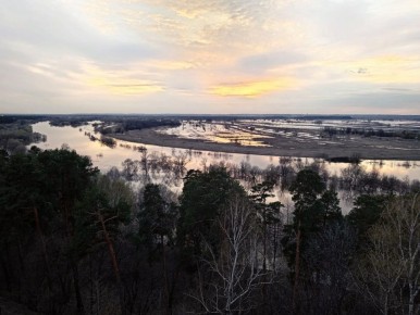 ������� ������ �� ����������� �� ���������� ���������� ����