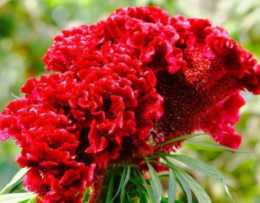 ������� �����������: ��� ��������� ������� ������� �� ����� �������