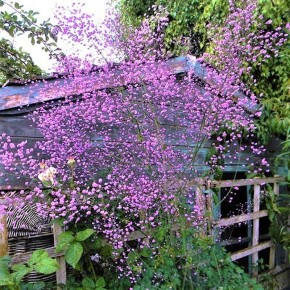 ��������� ������������ ��� ������ ����: ������ �����, ������ �������