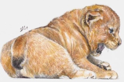 ���������, ���������� ����� � ����� ������� ��� � ��� � �������� � ������� �� ��� ��� ������� ���������