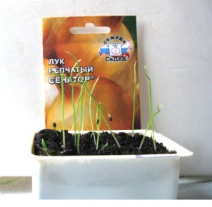 Как ускорить прорастание семян: проверенные способы для дачников