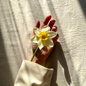 ������ ���������� ������������ ����� �����: ������ ����