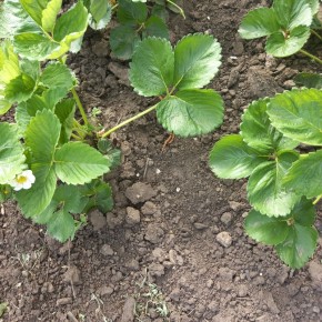 �������� ����: ������ ������ � ������������ ����������