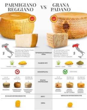 Пармиджано-Реджано и Грана Падано: Как выбрать идеальный сыр?
