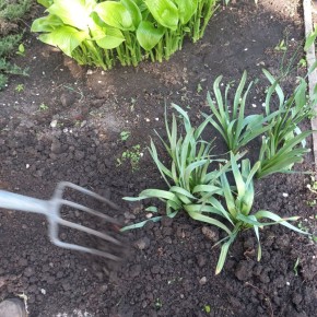 ��� �������� ������ �������� �������� ��������� ������ �����