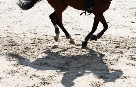 Восемь российских всадниц получили нейтральный статус в марте