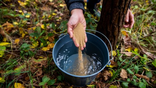 ������� �������� ��������� ����� � ����� ������ ��� �������� ��������