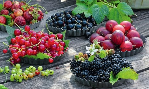 ��� �������� �������� ������ ���� �� ����