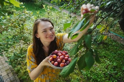 ��� ���������� �������� ������� ����� ��������: ������� ��������� ������