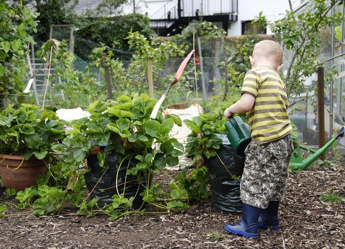 Как найти баланс между отдыхом и работой на даче в жару