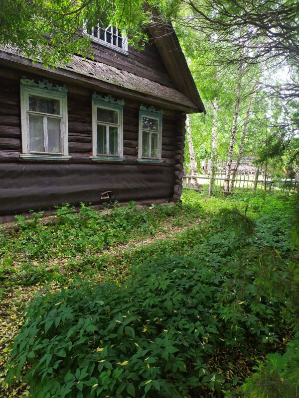 ������� ��������� �����: ��� ������������ ���� ����� ���������