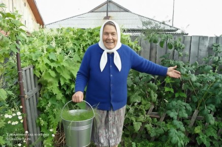 ����������� ������ ������ � ��������� � ���� � �������