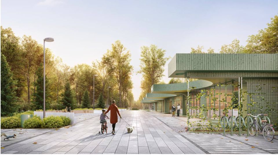 ����� �� ���� � ����������: ��������������� � ����������� ���� ������������