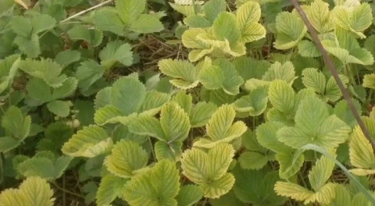 ��� ���������� � �������� ��������: �������� ������� � ����������� ������