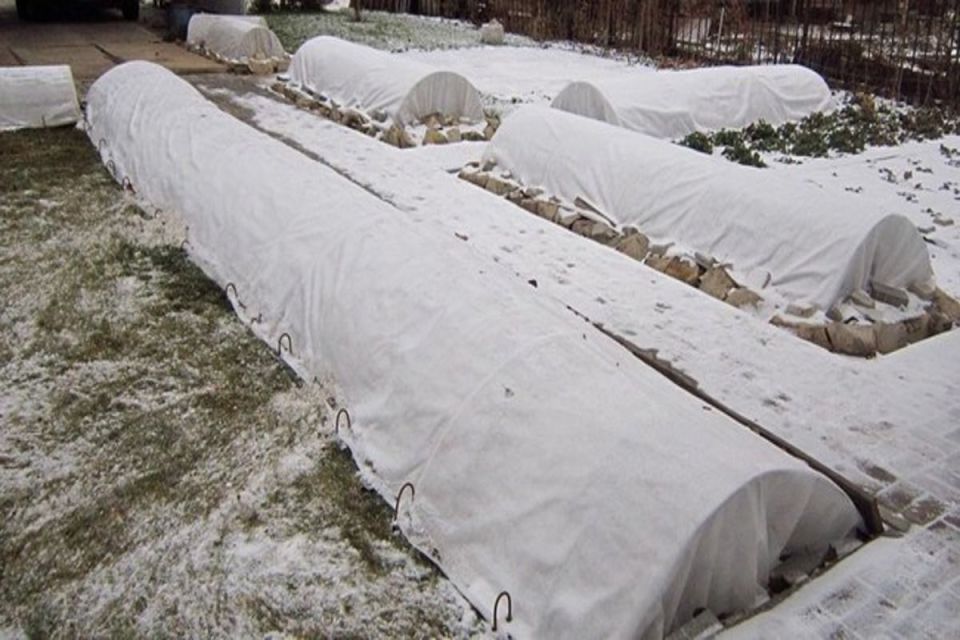 ������� �������� �� ����: �����, ��� � ����� ������ ��������?