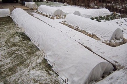 ������� �������� �� ����: �����, ��� � ����� ������ ��������?