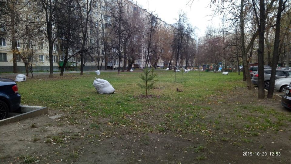 ������� ������: ����� � ���� ��� ������ �� ��������� ����?