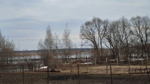 В поселке Борки Рязани 6 апреля из-за подъема воды в Оке подтопило еще 12 приусадебных участков