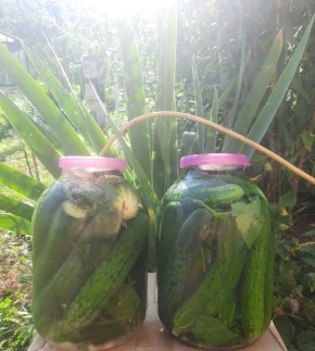 ����������� ������ ������, ������� �������� � ������ �����