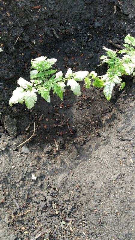 ��� ��������� ��� ������: ������ ��� �������� ������ ������� ������������