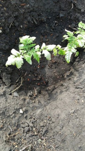 ��� ��������� ��� ������: ������ ��� �������� ������ ������� ������������