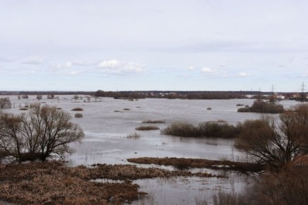 Прогноз погоды на вторник от синоптиков Рязанского ЦГМС