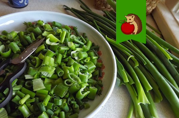 Луковые стрелки: как их вкусно приготовить