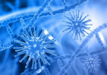 ������ ����� ���������� � ������� �������� � ��� ��� ������ ���������