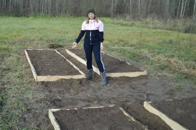 Как справиться с проросшим чесноком осенью