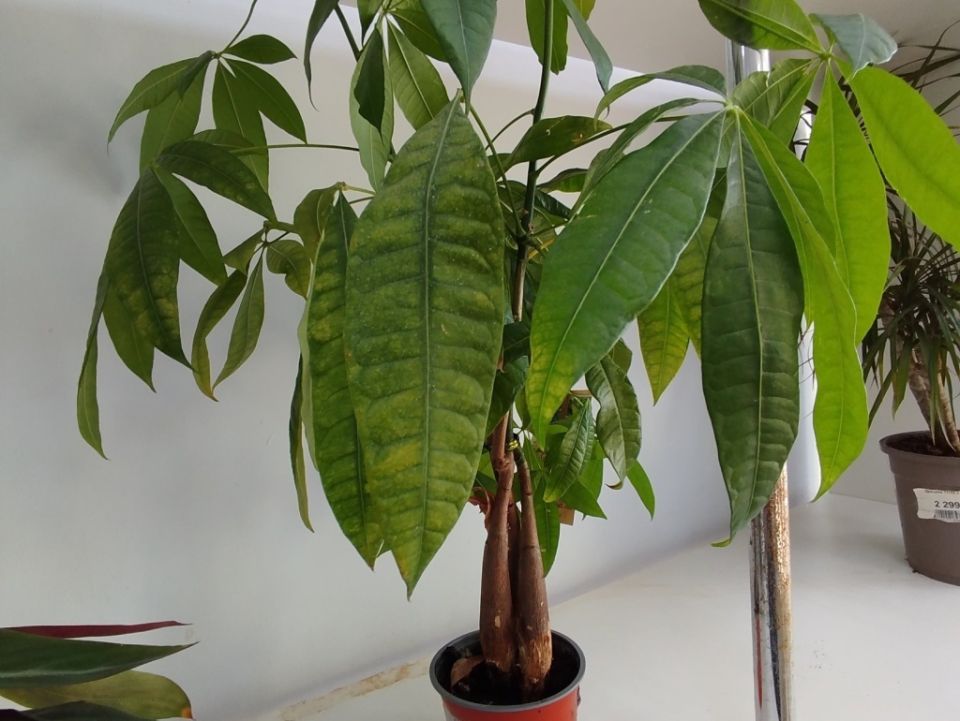 ������: ����, ������� ����������� � ����