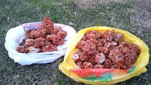 � ������������ ������ ������� ����� ����� �����