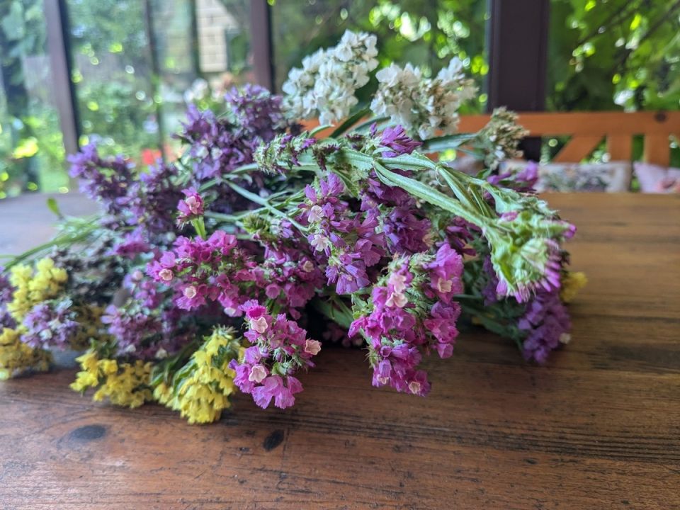 ��� ��� ������: ��� ����� �������� ������ �� ��������� � ����� ����