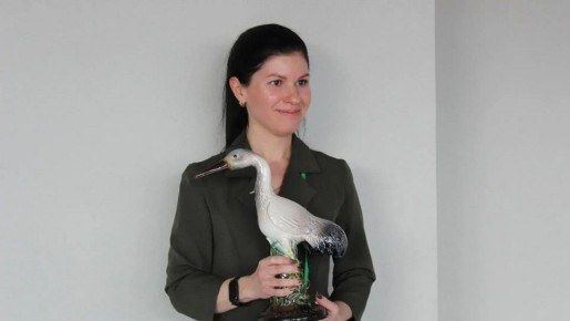 ���������� ����� ������ ��������� ������� ����� �62 ����� ��������� � ������� � ������������ ����� �������� �������� ���� ������-2026�