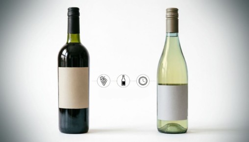 ��� ����������� � ��������� ������� ����: �������� ��������� � ��������