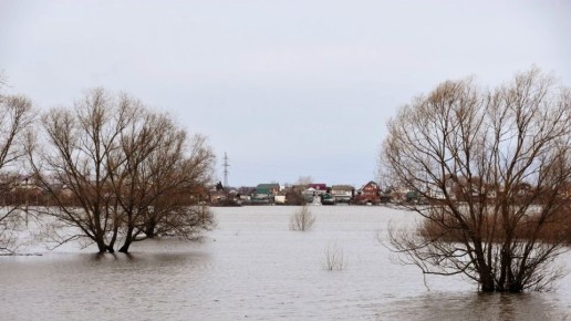 ������� ������ �� ������� �� ���������� ���������� ����