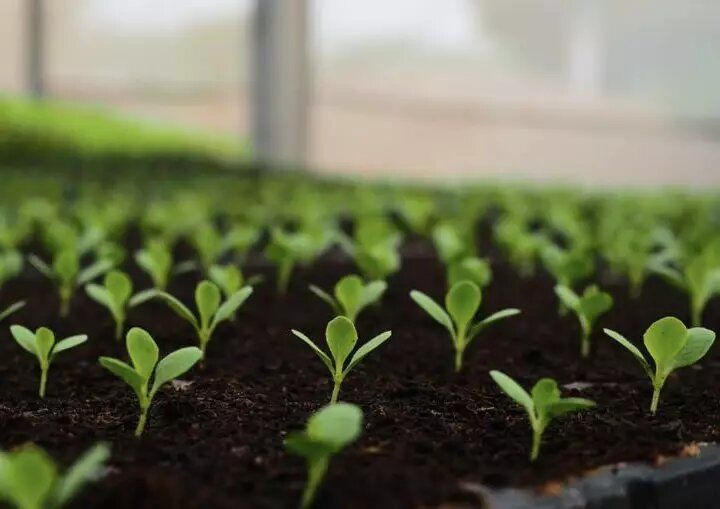 ������ ��������� ������-��������� ����� � 11 �� 17 ������