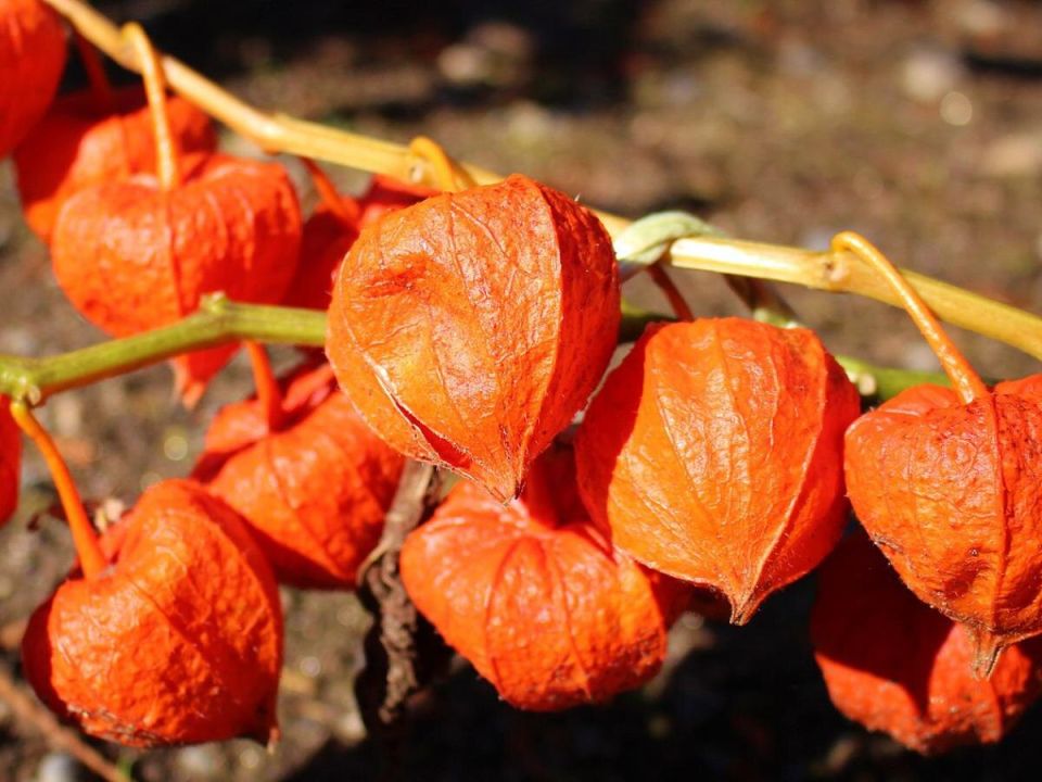 �������: ������� ����� � ������� ��� ������� ������